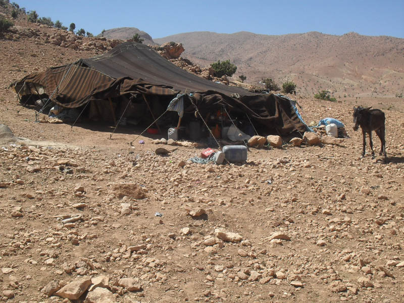 Detalle del proyecto