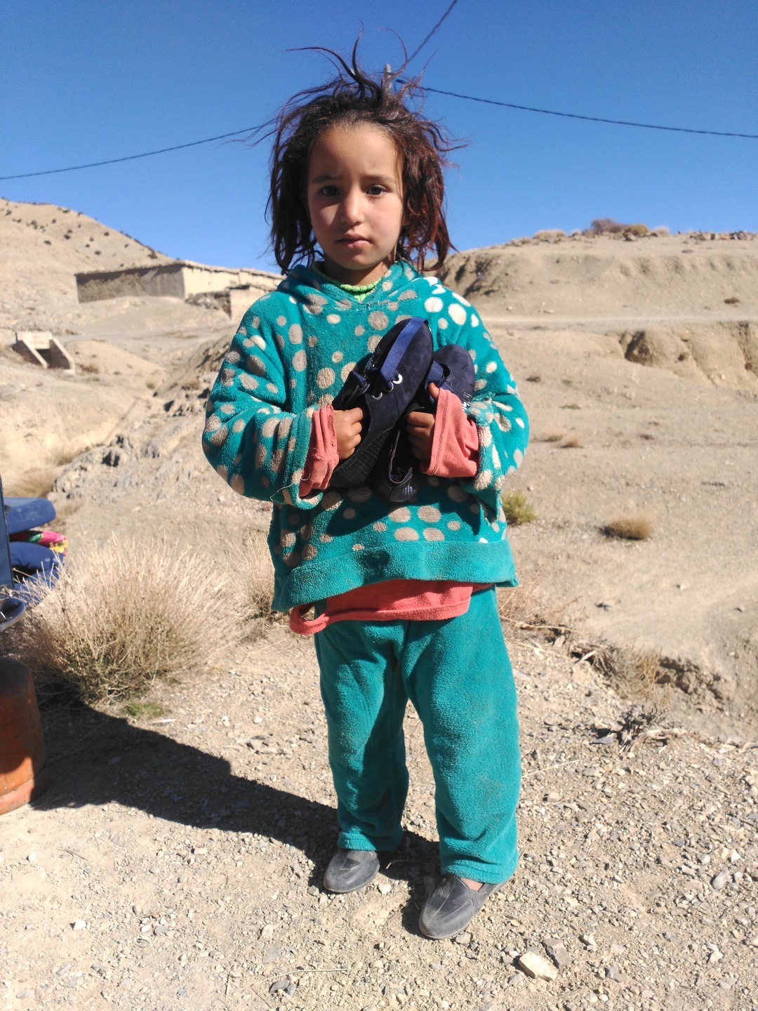 Detalle del proyecto