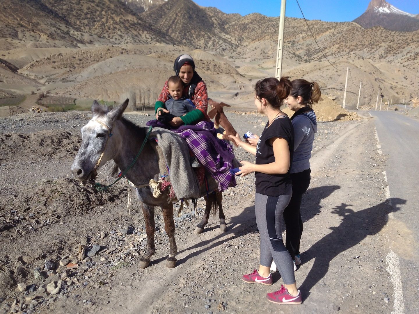 Detalle del proyecto