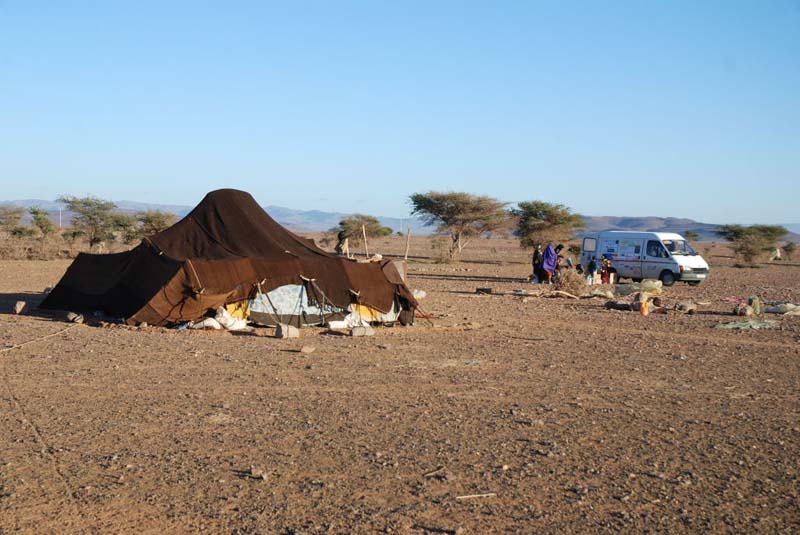 Detalle del proyecto