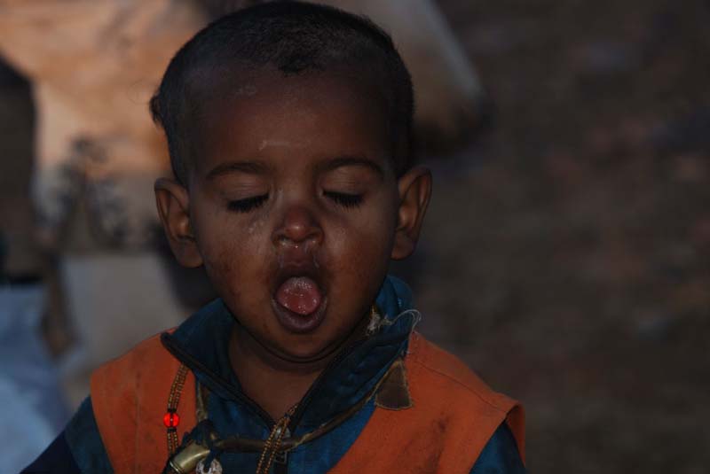 Detalle del proyecto