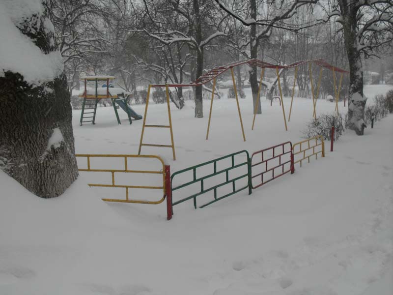 Detalle del proyecto