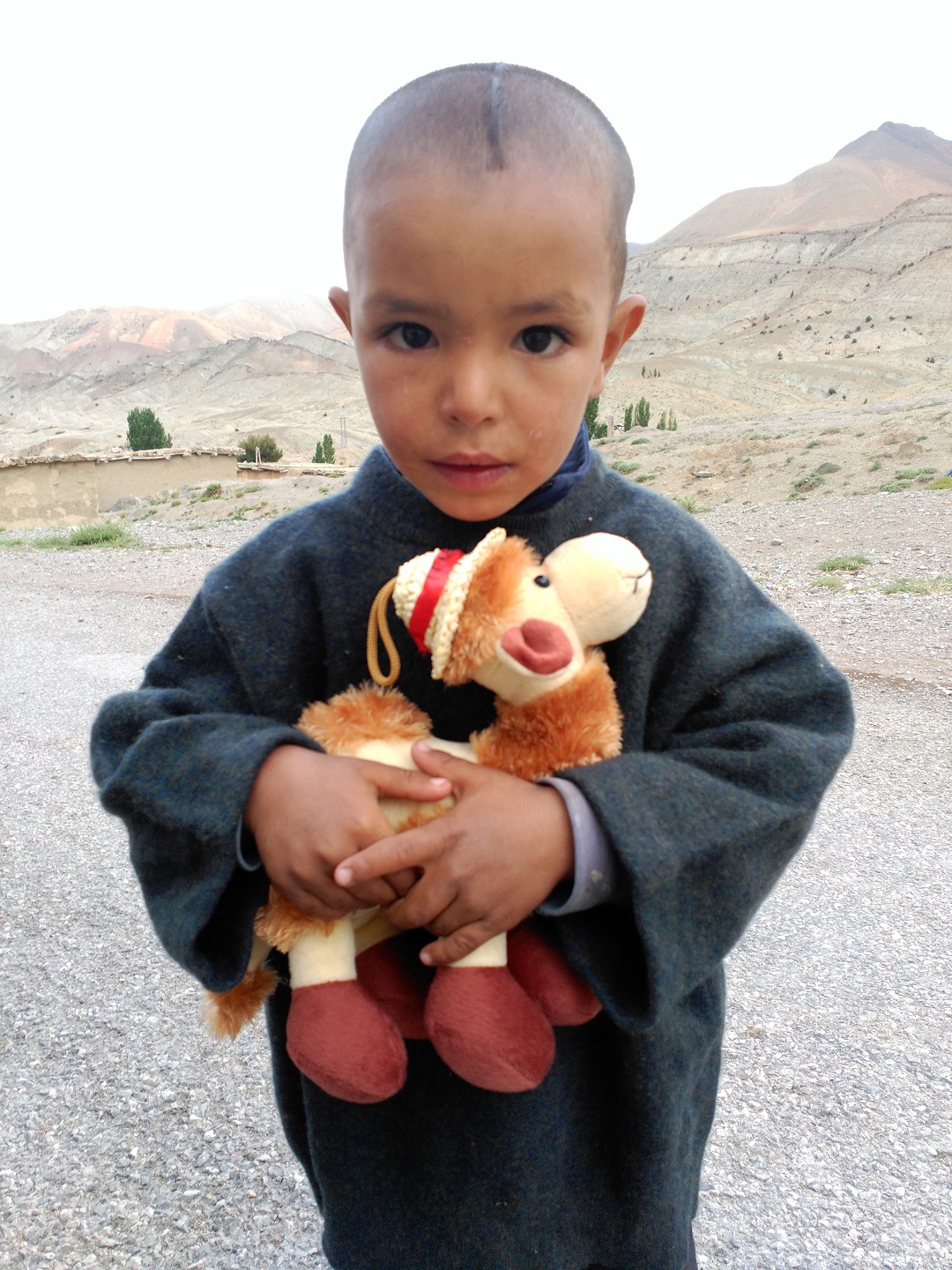 Detalle del proyecto