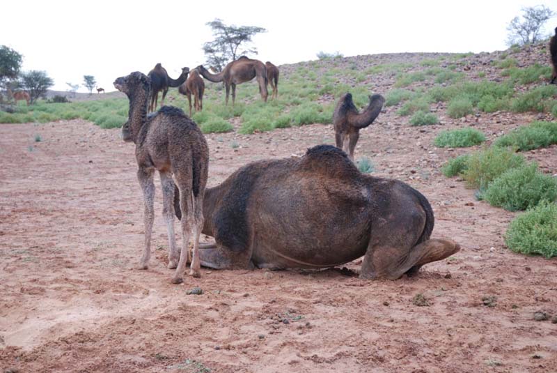 Detalle del proyecto