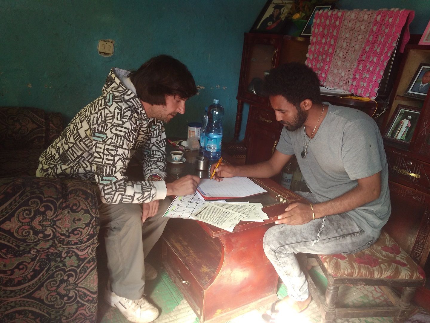 Detalle del proyecto