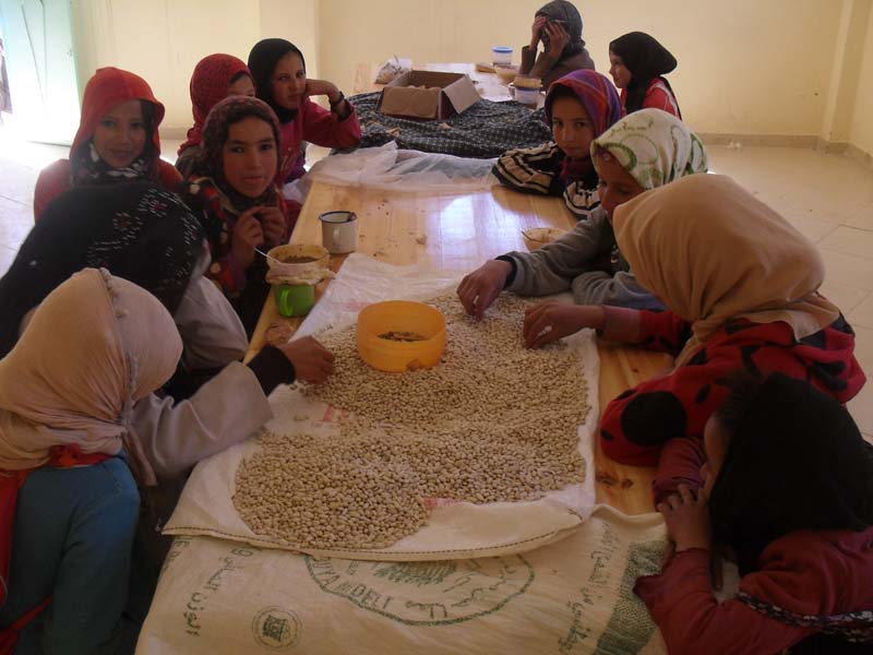 Detalle del proyecto