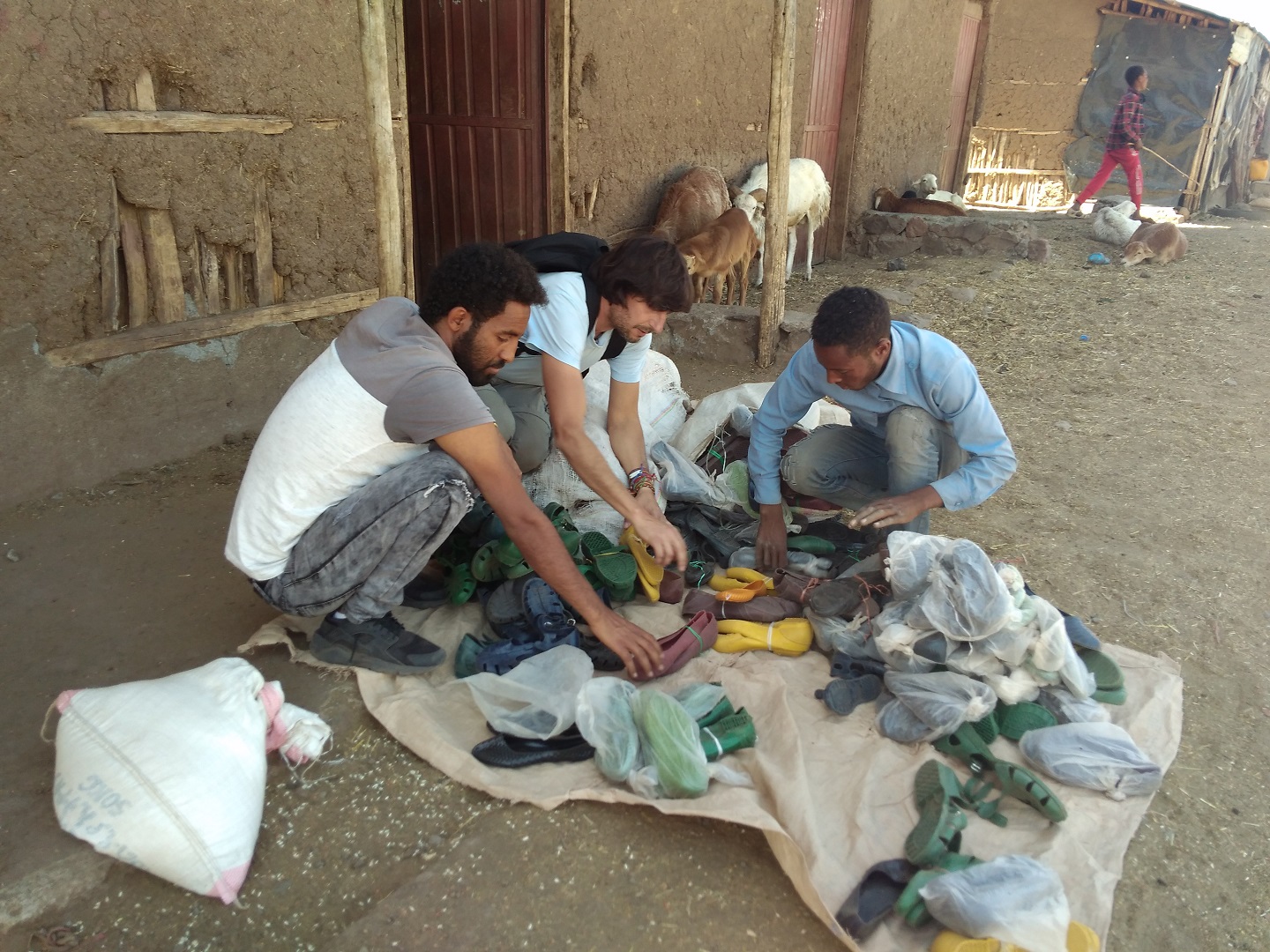 Detalle del proyecto