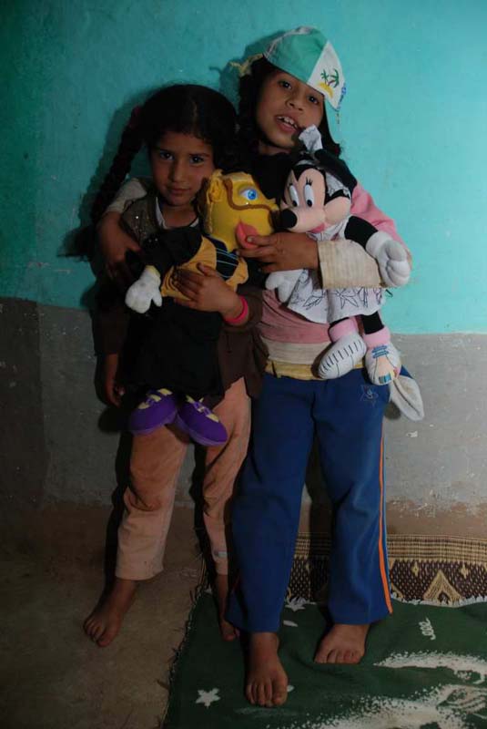 Detalle del proyecto