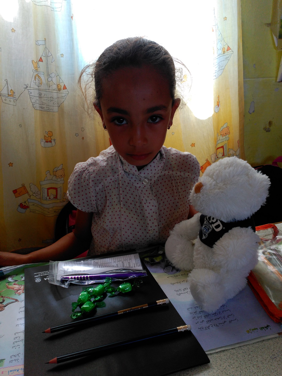 Detalle del proyecto