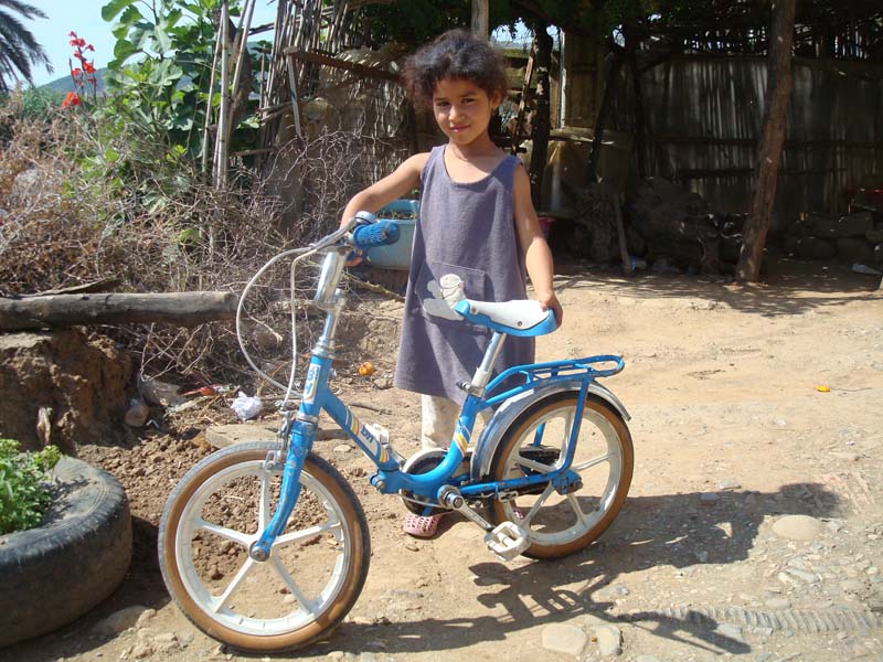 Detalle del proyecto