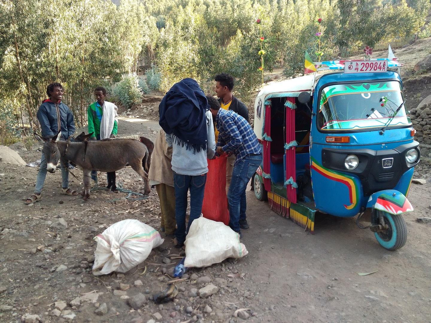 Detalle del proyecto