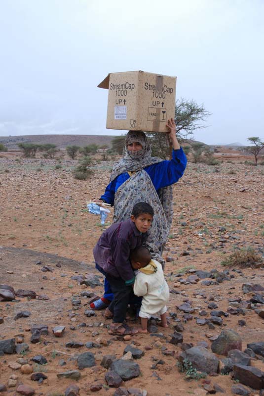 Detalle del proyecto