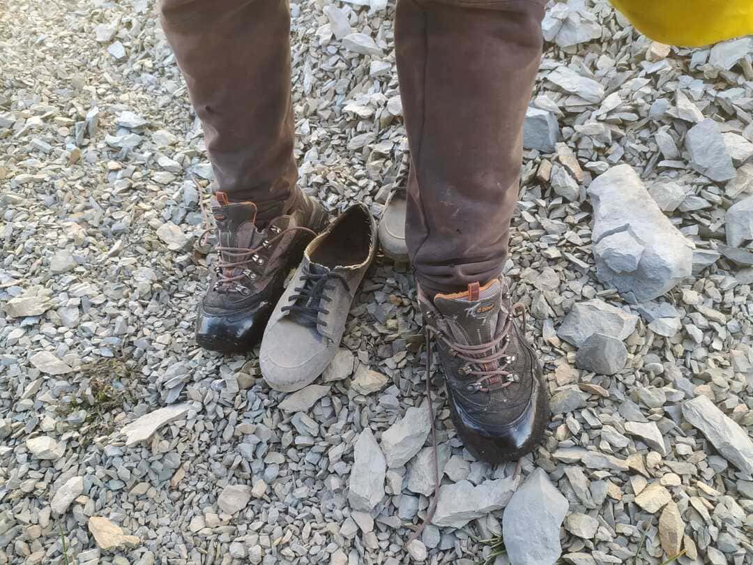 Detalle del proyecto