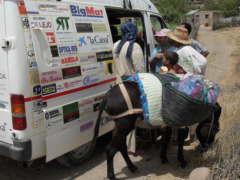 Detalle del proyecto