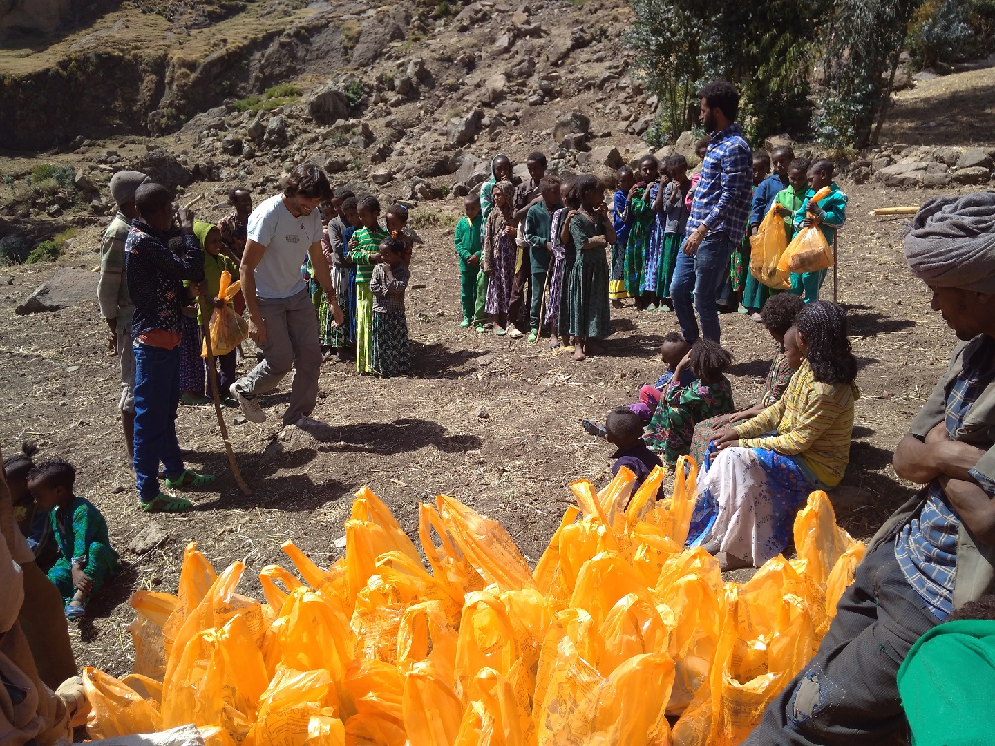 Detalle del proyecto