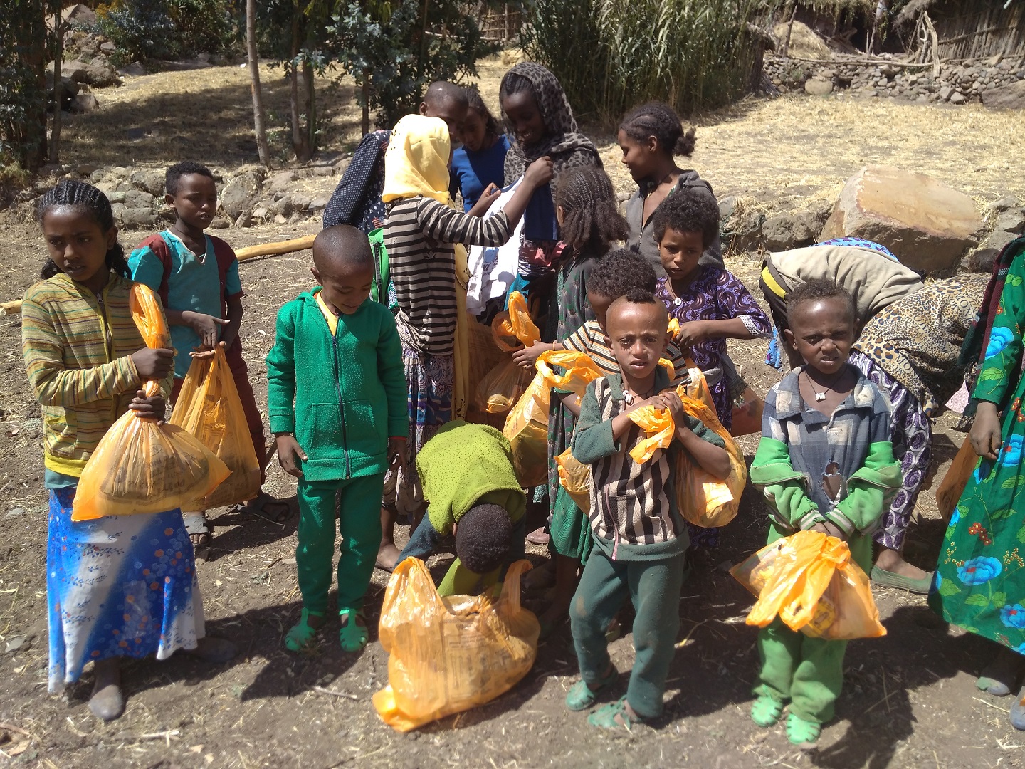 Detalle del proyecto