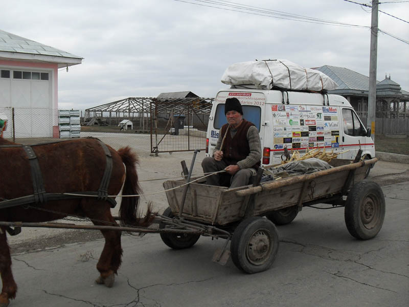 Detalle del proyecto